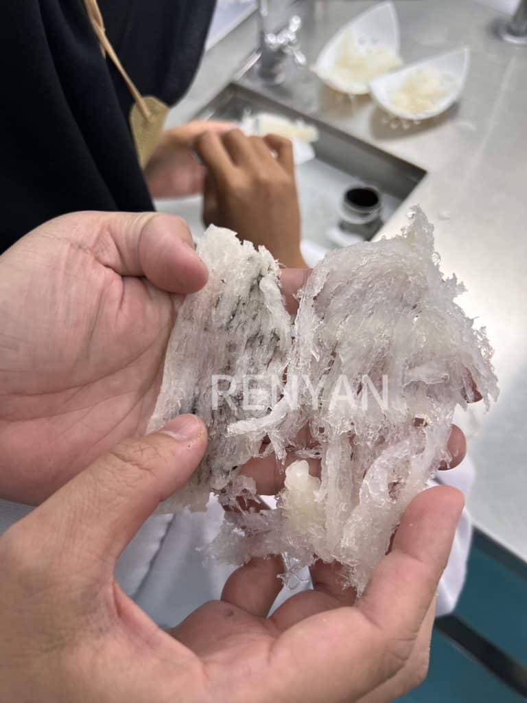 仁燕燕盞成品照｜人工挑毛後的乾燕窩｜天然純淨展示